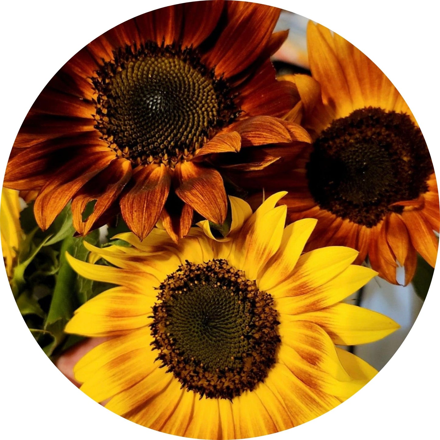10x10 Metal Sunflower Wreath Sign